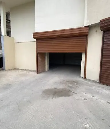 борисови