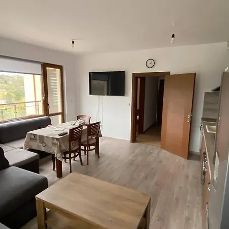 борисови Apartment