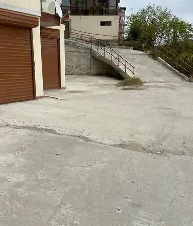 борисови *